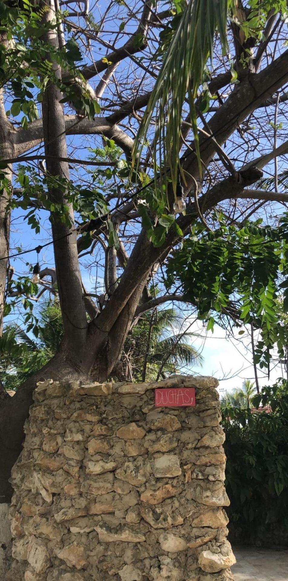 فيلا Casona La Carolina San Andrés المظهر الخارجي الصورة