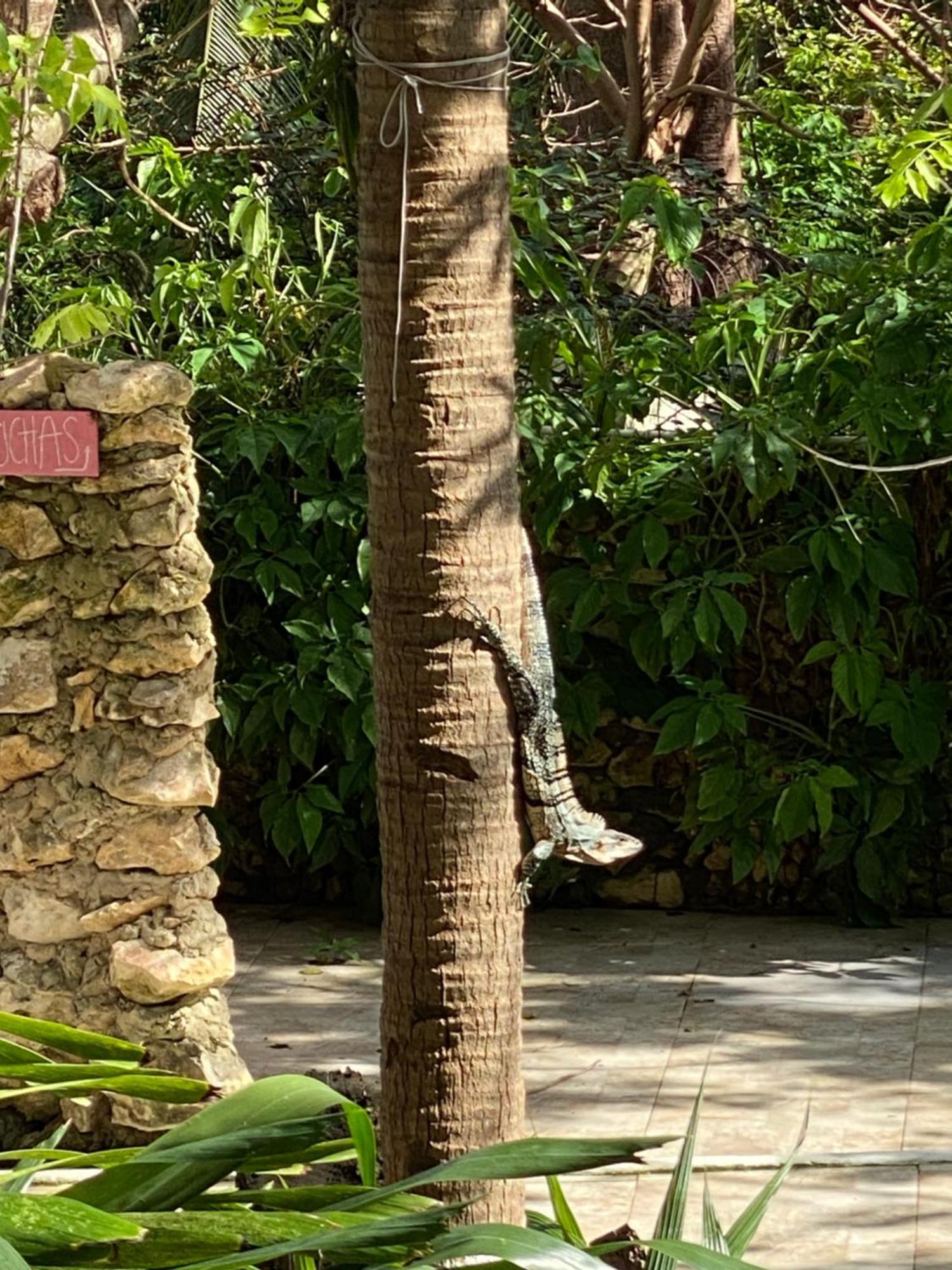 فيلا Casona La Carolina San Andrés المظهر الخارجي الصورة